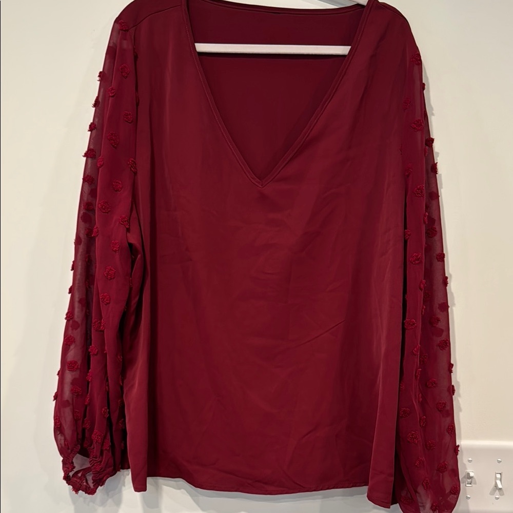 NWOT Swiss Dot Sleeved Blouse